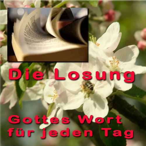 Die Herrnhuter Losungen