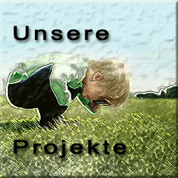 Projekte des Vereins